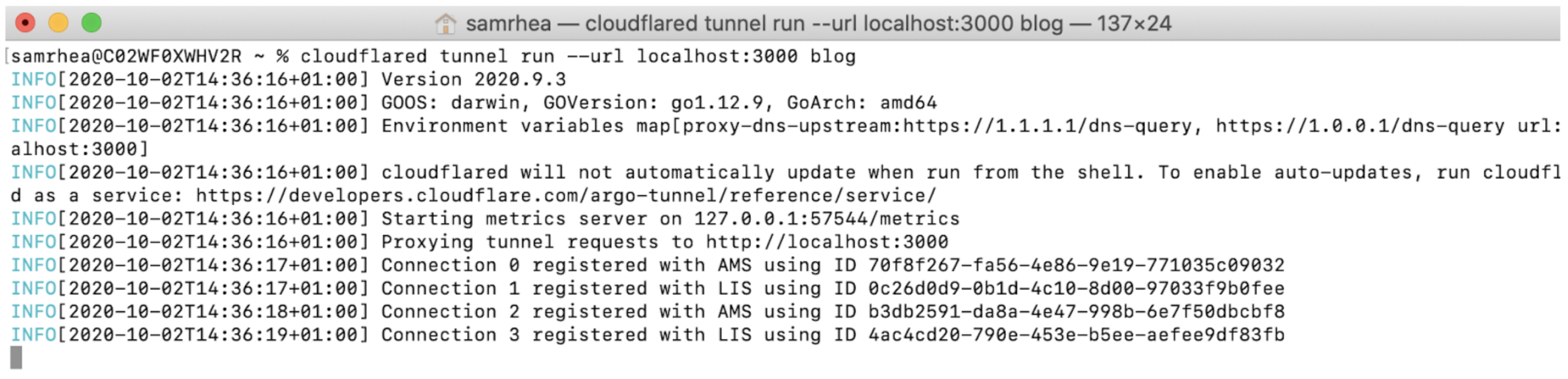 Example of terminal output after using the run command when running a Tunnel.