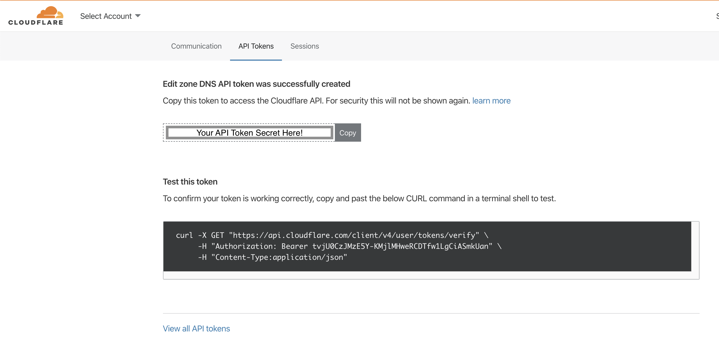 Token creation completion screen displaying your API token and the <code>curl</code> command to test your token